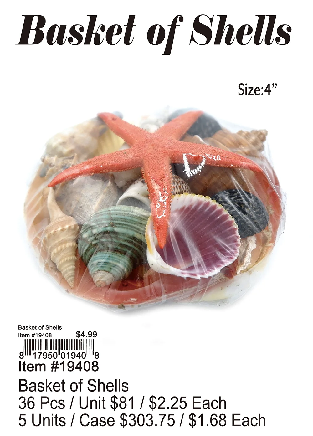 Wholesale Basket of Shells 36 Pcs.